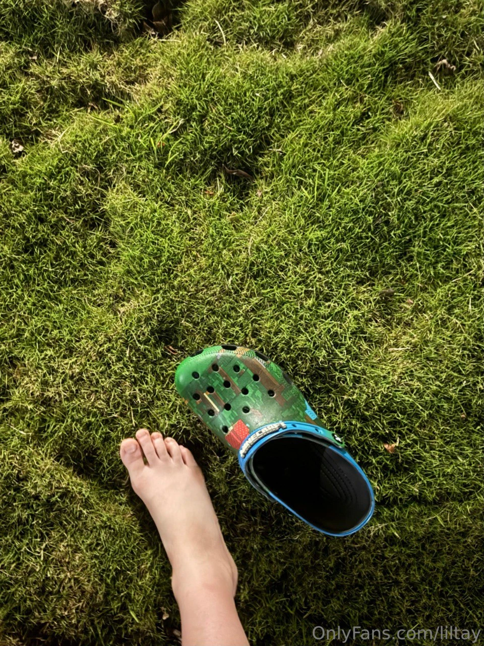 Lil Tay фото (54)